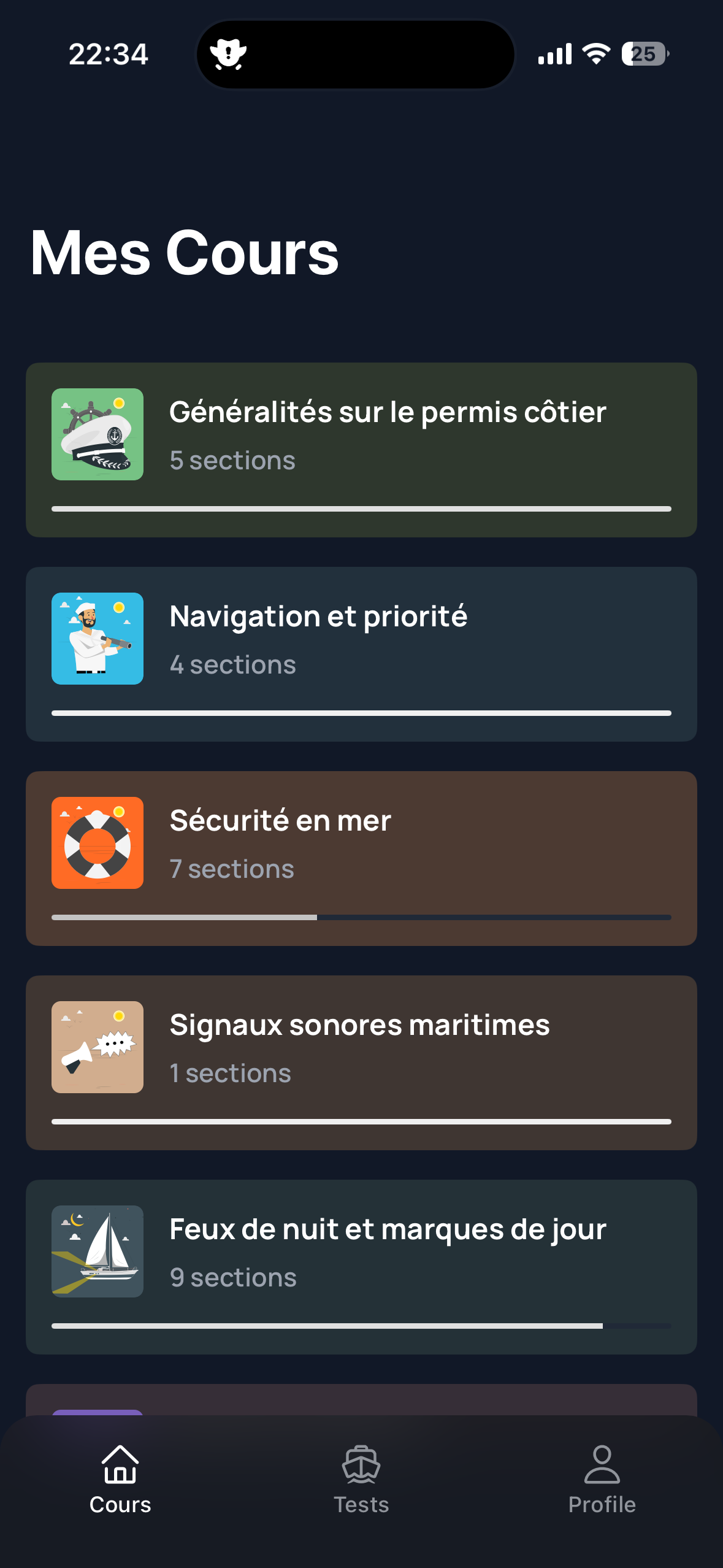 Cours clairs, illustrations explicatives et résumés actionnables